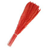 60Pcs Pampas Grass,17" Fake Pampas Grass for Wedding Decoration,Red Pampas Grass