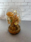 Vintage Floral Cloche Dome 5" Freeze Dried VHD Carnation