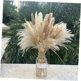 Pampas Grass Decor 110 pcs 17.5inch Natural Dried Pampas Grass-15Pcs White Pampas Grass