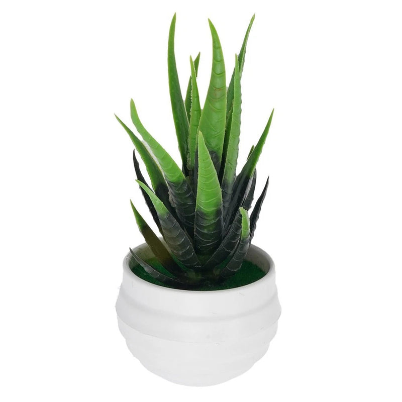 Artificial potted succulent with green spiky leaves in white round ceramic pot