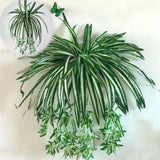 Fake Chlorophytum Silk Artificial Grass Home/Garden Spider  Decor Orchid Plant Green Plant