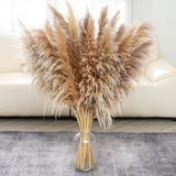 40 inch 12 pcs Natural Pampas Grass Decor Tall Boho Home Decor Pompas Grass Drie Pampas Grass