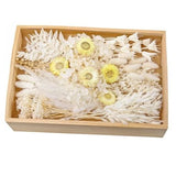 Natural Dried Flower Set, Bulk Dried Flowers with Stems, Dried Daisies, White Pampas Grass