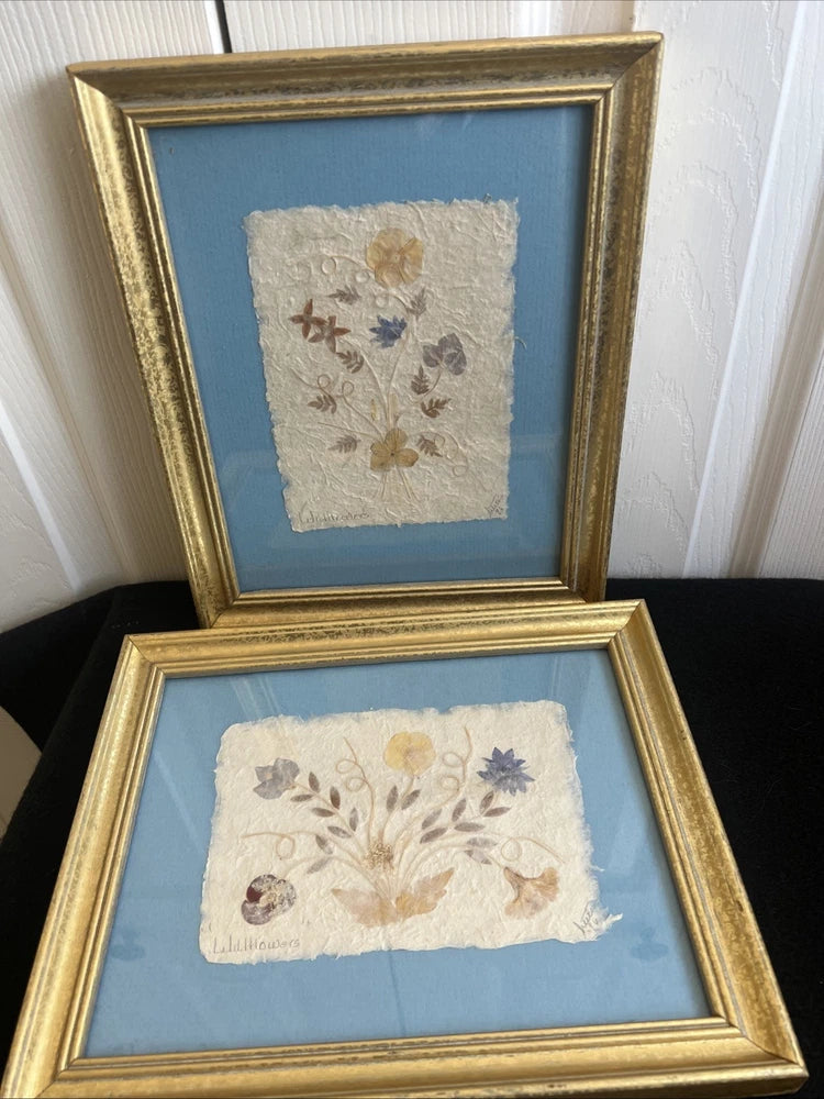 Gold-framed pressed flower wall art, set of 2, dried blossoms on light paper