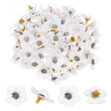 100-Pack Artificial Flower Heads, Mini Silk Faux Daisy Flowers DIY [White] Daisies
