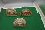 3 Shelf Mushrooms/Fungus, white. Crafts/Art projects. 5 to 7 Inches Dried Flower