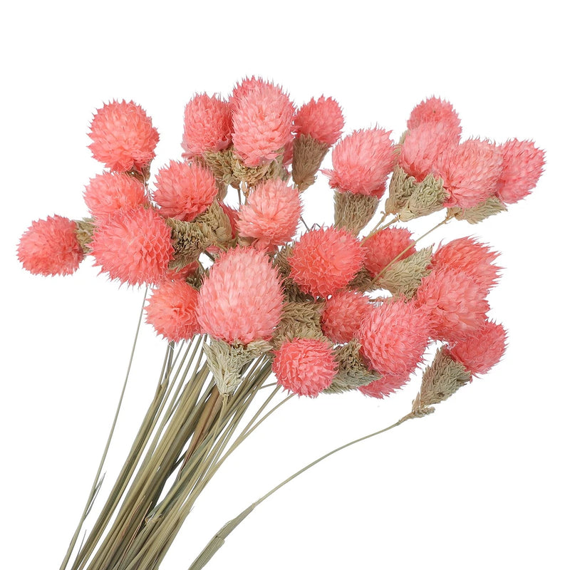 30 Pcs 16 Inch Dried Flowers for Vase Mini Pine Ball Flowers Pink Dried Flower