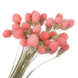 30 Pcs 16 Inch Dried Flowers for Vase Mini Pine Ball Flowers Pink Dried Flower