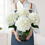 White Hydrangea Artificial Flowers, 4Pcs 22" Large Lifelike Faux Silk Flowers... Hydrangea