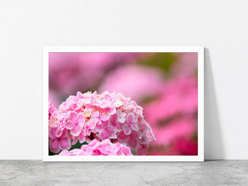 Hydrangea Flower In The Garden Glass Framed Wall Art, Ready to Hang Hydrangea