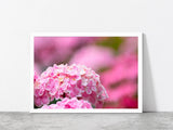 Hydrangea Flower In The Garden Glass Framed Wall Art, Ready to Hang Hydrangea