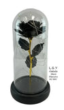 Illuminated Domed Black Rose Roses