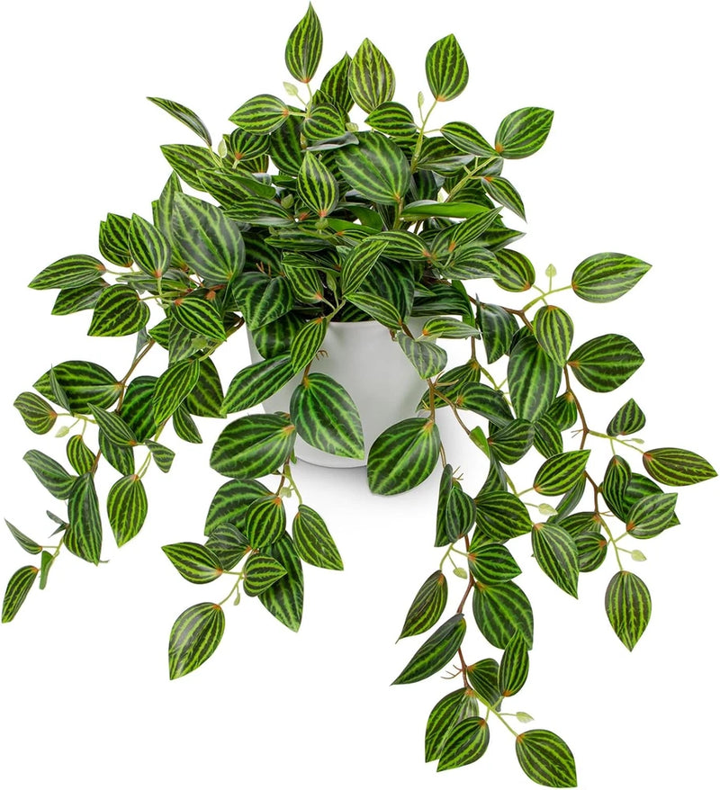 Artificial Plants Indoor Fake Potted Silk Plants Faux Watermelon Peperomia Drapi Green Plant