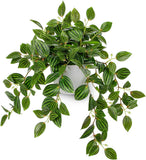 Artificial Plants Indoor Fake Potted Silk Plants Faux Watermelon Peperomia Drapi Green Plant