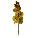 Set of 2 Artificial Green Poly Silk Moth Orchid 32" Floral Stems Green Plant