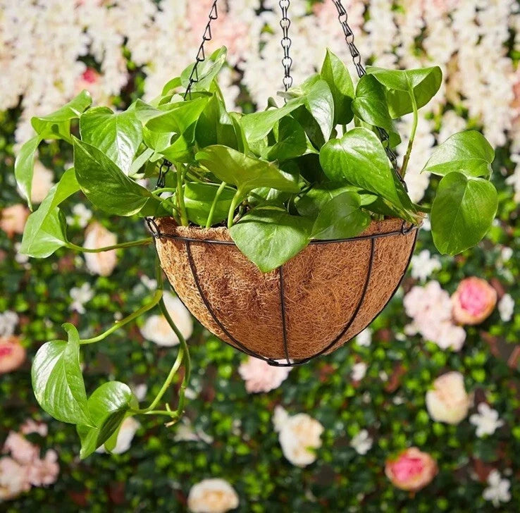 2 Nos @ Garden Depot Hanging Garden Basket Planter 7.75Ó Garden Plants