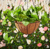 2 Nos @ Garden Depot Hanging Garden Basket Planter 7.75Ó Garden Plants