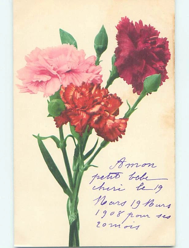 Pre-Linen foreign BEAUTIFUL PINK AND RED CARNATION FLOWERS : clearance HL7871 Carnation