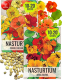 Nasturtium Seeds for Planting Edible Flowers - Collection Set of Jewel Blend & D Flowering Plants