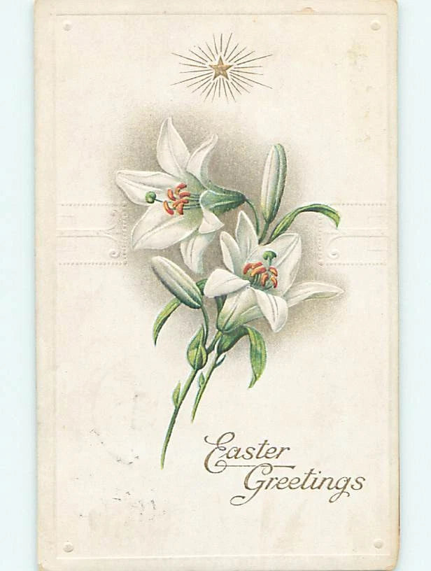 Divided-Back BEAUTIFUL EASTER LILY FLOWERS : make an offer o5723 Lily