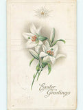 Divided-Back BEAUTIFUL EASTER LILY FLOWERS : make an offer o5723 Lily