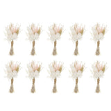 10 Pcs Mini Pampas Grass Dried Flower Bouquet Baby's Breath Boho DIY Gift Pink Dried Flower