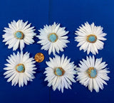 Pale Blue Daisies - Japan - Millinery - Vintage Daisies