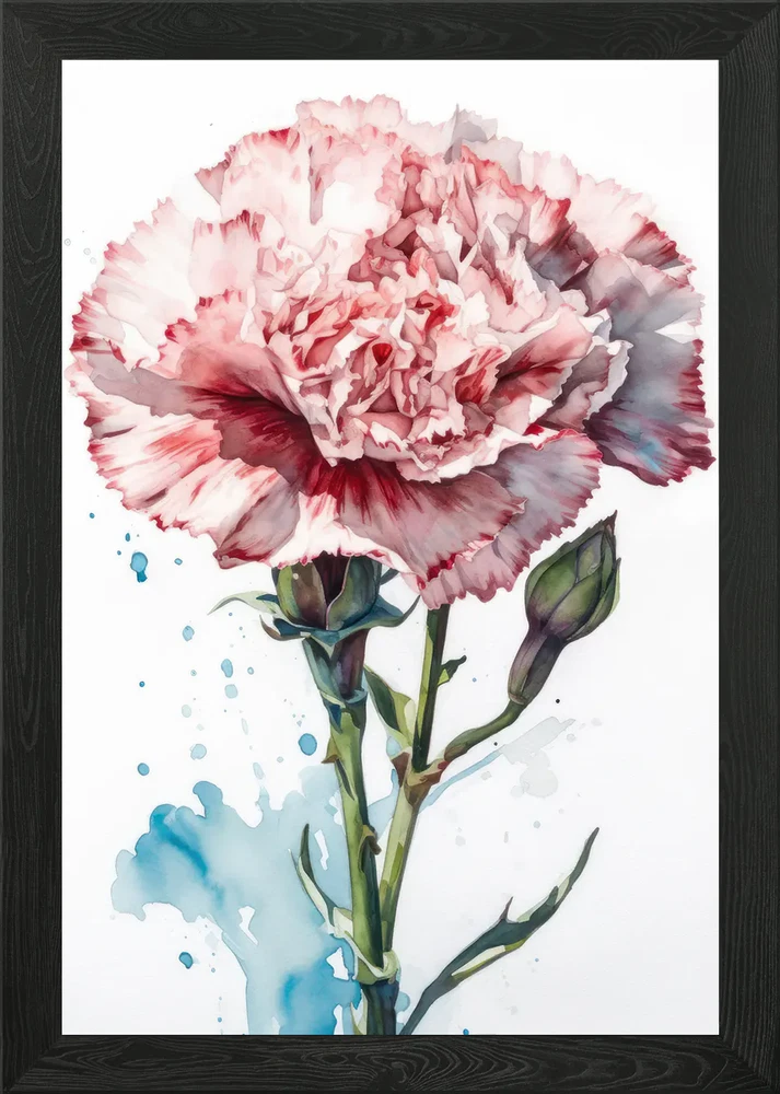 Framed wall art print of a pink carnation with blue paint splashes