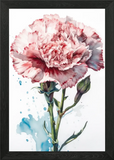 Carnation Artwork Flower Framed Wall Art Poster Canvas Print Picture Carnation