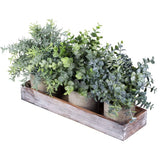 Set of 3 Mini Potted Artificial Eucalyptus Plants Faux Rosemary Plant Assortm... Green Plant
