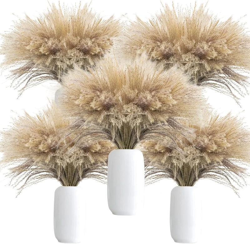 500Pcs Natural Dried Pampas Grass Plume 17Inch Tall Dried Flowers Bulk Reed Drie Dried Flower