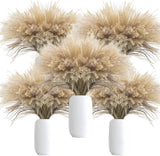 500Pcs Natural Dried Pampas Grass Plume 17Inch Tall Dried Flowers Bulk Reed Drie Dried Flower