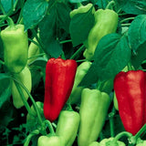 Sweet Pepperoncini Pepper Seeds  | NON-GMO | Heirloom | Fresh Garden 30+Seeds Garden Plants