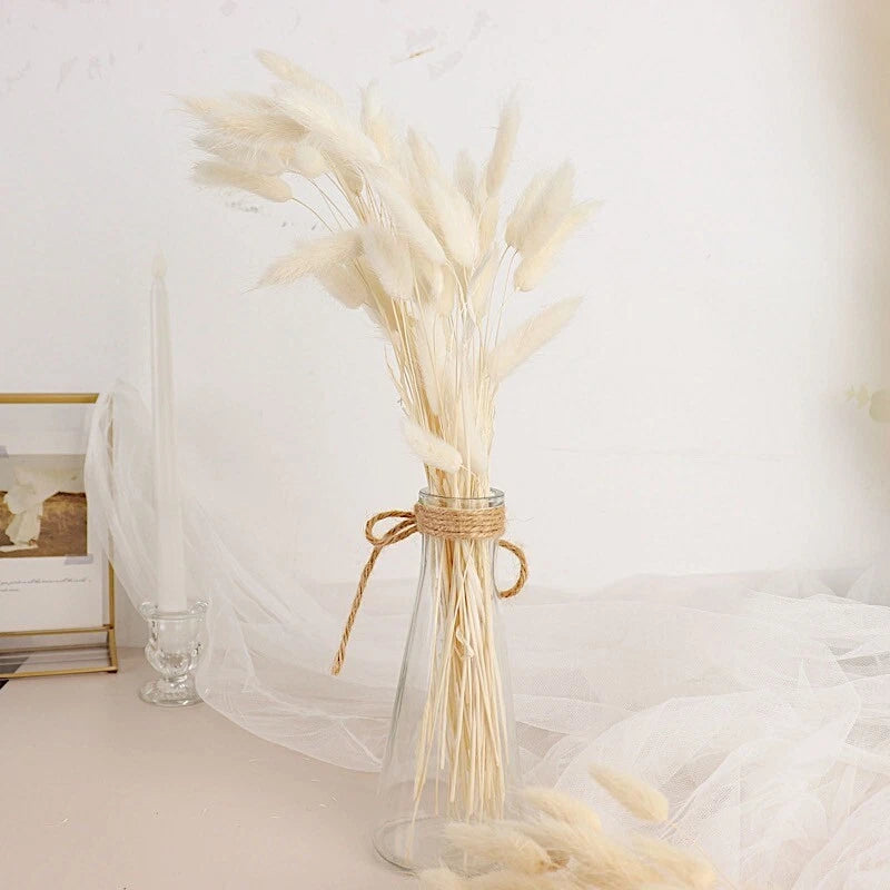 WHITE 50 Stems 15" Rabbit Tail Dried Natural Pampas Grass SPRAYS Party Events Pampas Grass