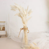 WHITE 50 Stems 15" Rabbit Tail Dried Natural Pampas Grass SPRAYS Party Events Pampas Grass