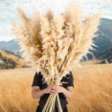30 stalks of 46-inch Fluffy Tall Pampas Grass Decorative Bulk Pampas Grass