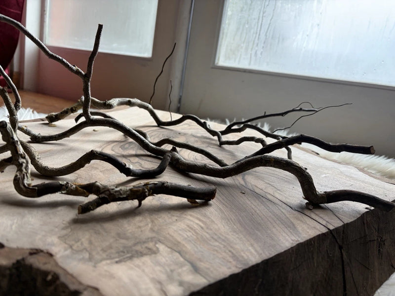 Dried corkscrew willow branches, dark brown twigs for home decor