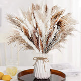 Grass Decor Home Decor Bouquet Natural Fluffy Dried Flowers for Wedding Floral Pampas Grass
