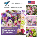 2000 Lisianthus Seeds Perennial Eustoma Grandiflorum Garden Flowers for Planting Garden Plants