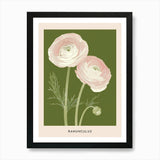 Pink & Green Ranunculus 2 Flower Po Framed Wall Art Poster Canvas Print Picture Ranunculus
