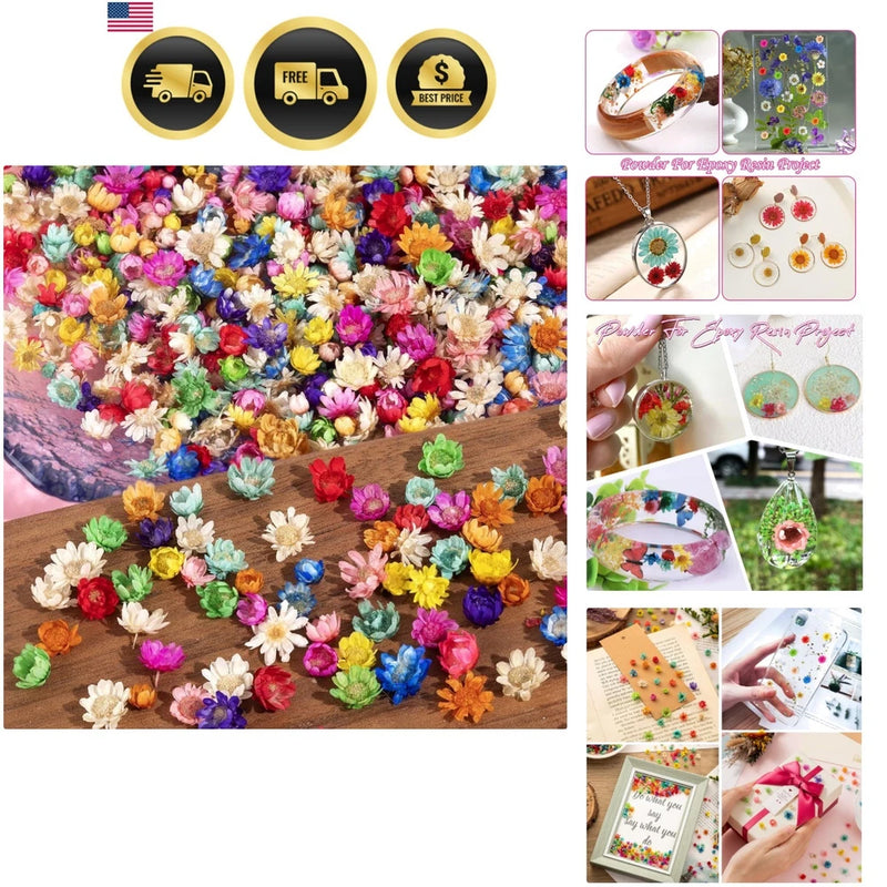 300 PCS Small Dried Flowers for Crafts - Mini Dried Flowers for Resin, Tiny N... Dried Flower