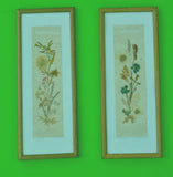 PAIR OF PRESSED  FLORAL ART COLLECTABLE  FLOWERS OSHIBANA Dried Flower
