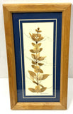 Vintage Myrtle Cleome Dried Pressed Flower Under Glass in Frame Wall Decor Dried Flower