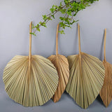 Natural Dried Flower Palm Leaf Fan Plant Party Wall Hanging Wedding Decor DIY Dried Flower