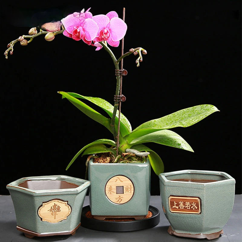 Set of three light-green Chinese-style ceramic hexagon plant pots with printed badges
