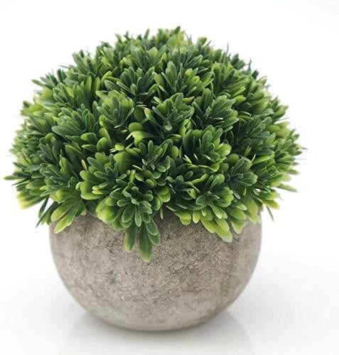 Artificial faux boxwood topiary plant in gray concrete pot, yellow-green leaves