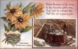 Nevada State Flower Sunflower Gold Mining c1910 Vintage Postcard Sunflower