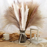 Natural Dried Plants Flower Bouquet Pampas Grass Reeds for DIY Boho Decor Home Pampas Grass