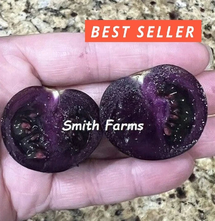 50+ Seeds Dark Purple Tomato Easy to Grow Vegetable Garden Planting Garden Plants