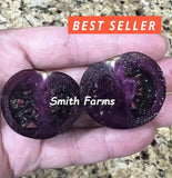 50+ Seeds Dark Purple Tomato Easy to Grow Vegetable Garden Planting Garden Plants